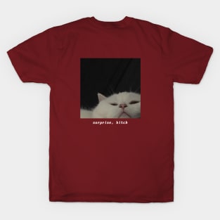 surprise cat T-Shirt